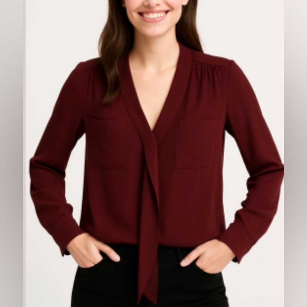 Babaton Aritzia | Silk blouse deep wine.
Size XS (oversized)